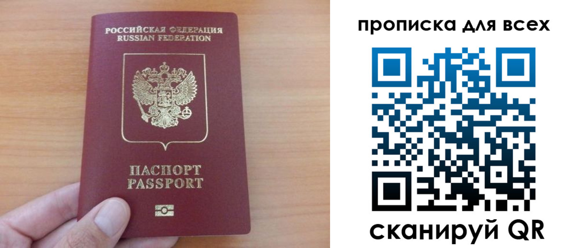 прописка поиск в Волоколамске